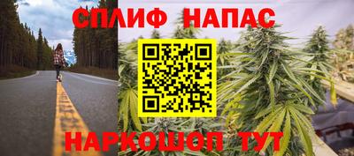 МДПВ Кунгур