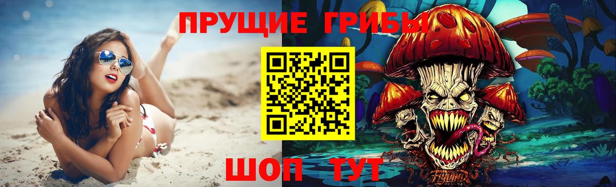 дарнет шоп  Галлюциногенные грибы мухоморы  Вход с VPN  Будённовск 