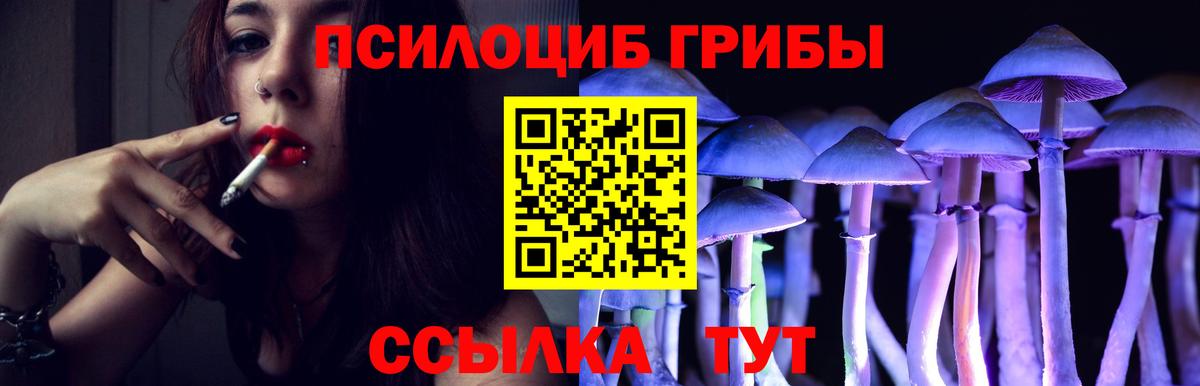 Псилоцибиновые грибы ЛСД Будённовск
